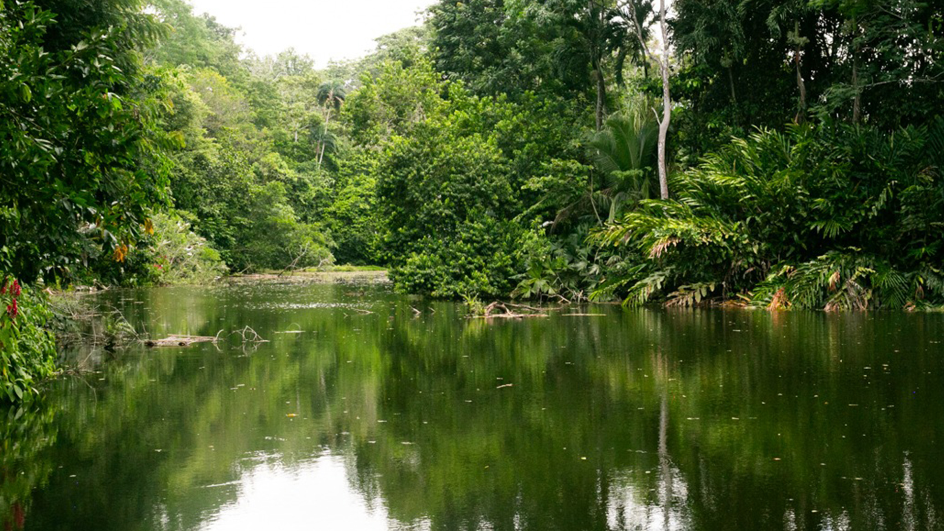 Lagoon