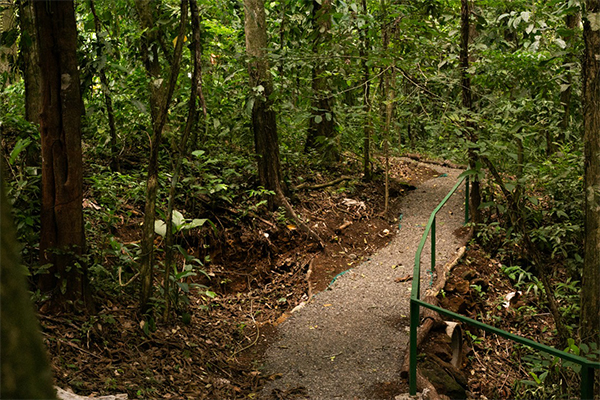Hiking